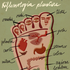 Foot reflexology map